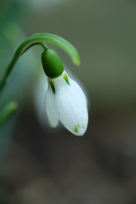 DSCF5293_2997.JPG