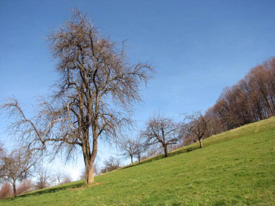 BAUM_SO_0403.jpg