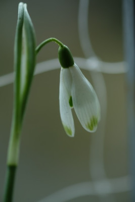 DSCF5309_2999.JPG
