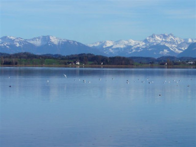 Greifensee_04.03.2007.JPG