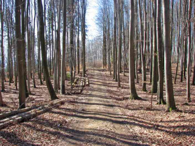 WALD_II_SO_0403.jpg