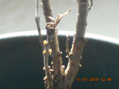 DSCN3733.jpg