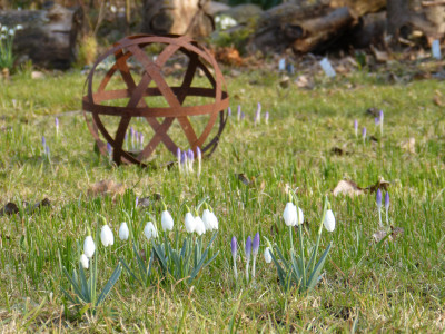 2018-03-15 Gartenimpressionen 2.jpg