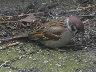 P1020341.JPG