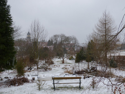 2018-03-16 Garteneinblick 1.jpg