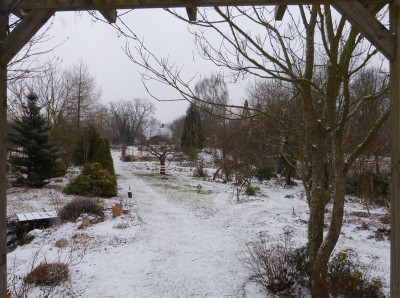 2018-03-16 Garteneinblick 3.jpg