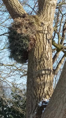 20180303_123137.jpg