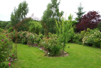 Rosenbögen.jpg