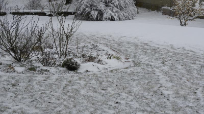 DSCN2043.JPG