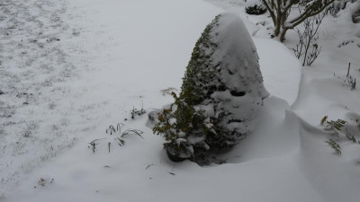 DSCN2046.JPG