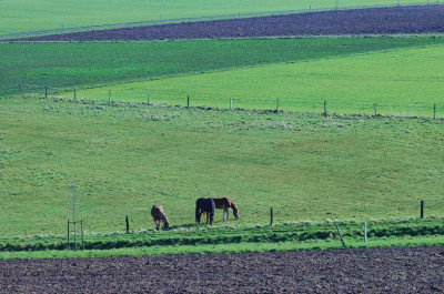 Feldansichten_1_04-03-2007.jpg