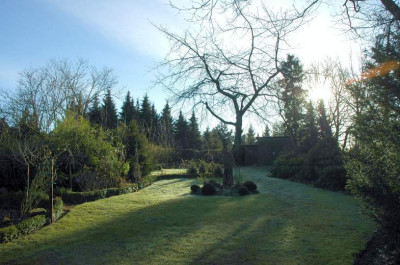 Garteneinblicke_2_04-03-2007.jpg