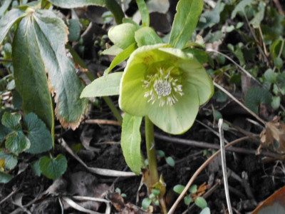 DSCI0492.JPG