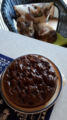 IMG-20180318-WA0004.jpeg