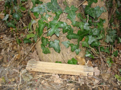 DSC02795.JPG