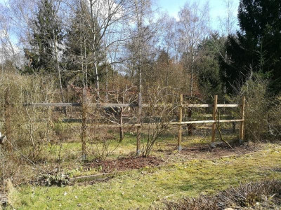 Ostzaun_20180321_134138k.jpg