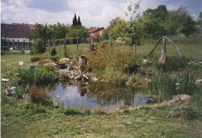 2005-06-10 Garten2.jpg