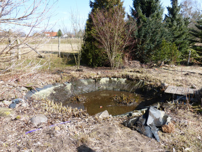2018-03-24 Gartenteich 1.jpg