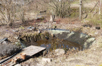 2018-03-24 Gartenteich 2.jpg