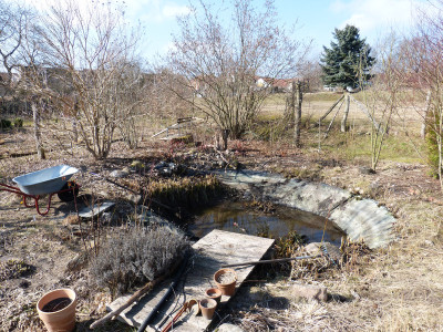 2018-03-24 Gartenteich 3.jpg