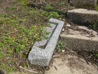 10.JPG