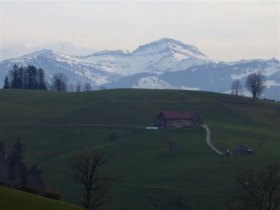 06.03.2007.0.JPG