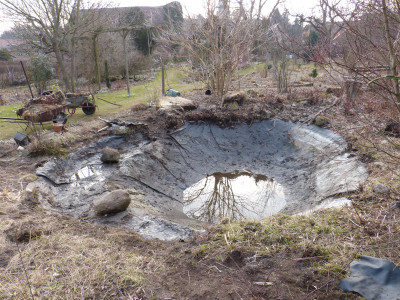 2018-03-25 Gartenteich 2.jpg