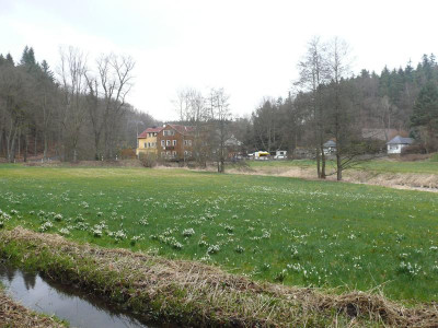 Polenztal_P1110964.jpg