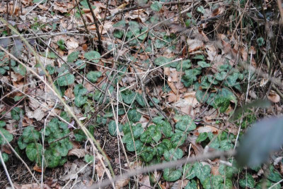 091.JPG