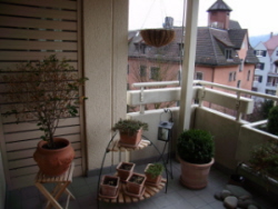 Bild12_025.jpg