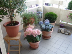Bild_001.jpg