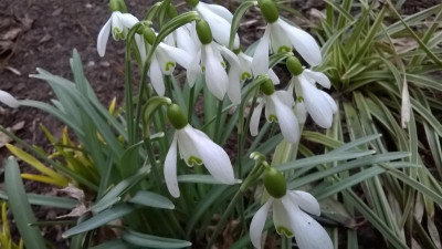 WP_20180327_009.jpg