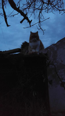 20180327_201357_HDR.jpg