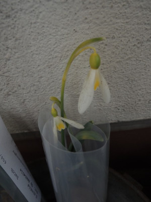 DSCN2985_3033.JPG
