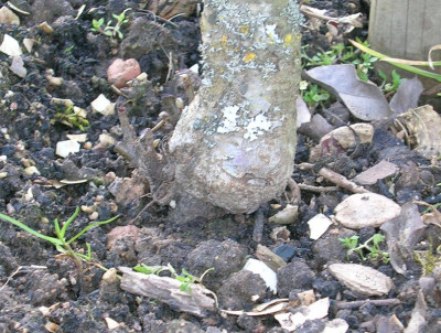 DB-Veredelungsstelle-1.jpg