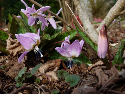 P1120142.JPG