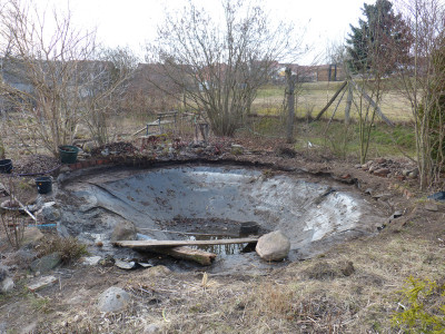 2018-03-30 Gartenteich 1.jpg