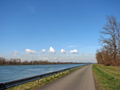 WEGE_DO_0803.jpg