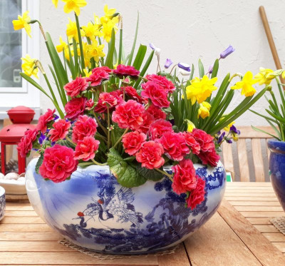 20180401_122743.jpg
