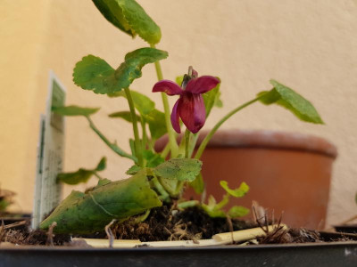 20180330_104334.jpg