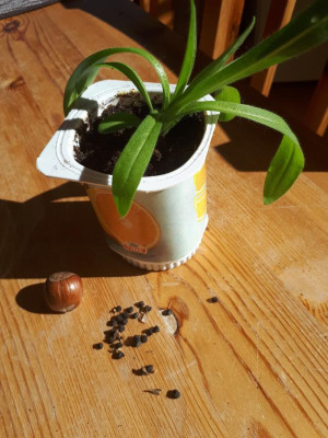 20180402_120542.jpg