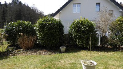 DSCN2170.JPG