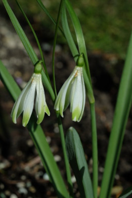 DSCF5518_3045.JPG
