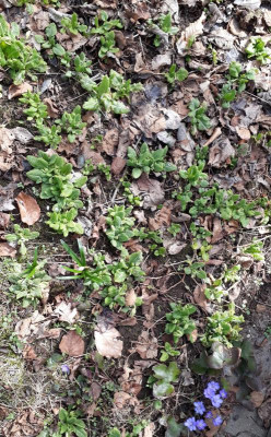 20180402_184020.jpg