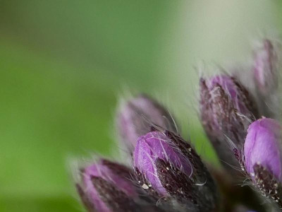 P1160264.JPG