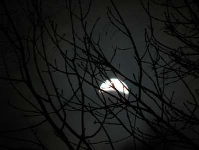 comp_1Mondfinsternis_3.03.07.-jpg.jpg