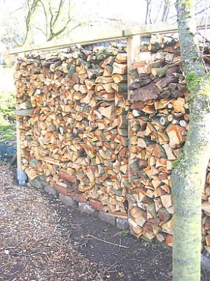Holzstapel_fars_2007.jpg