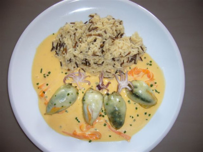 Tintenfische_09.03.2007.JPG