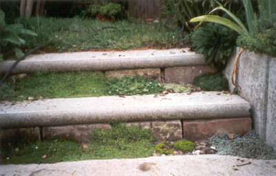GardenStairs.jpg