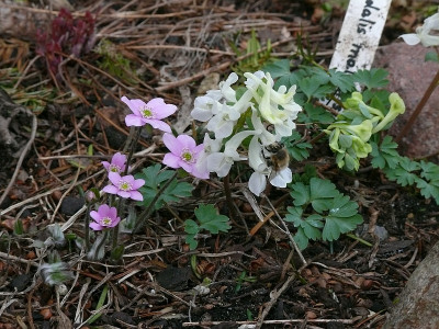 b0404183_800.jpg